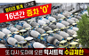 또 다시 도마에 오른 믹서트럭 수급제한