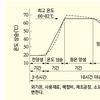 증기양생과 DEF
