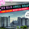봄꽃 폈는데 시멘트는 엄동설寒