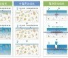 [ 수밀 콘크리트 ]